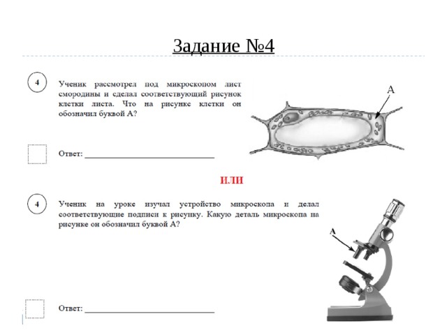 Задание №4 