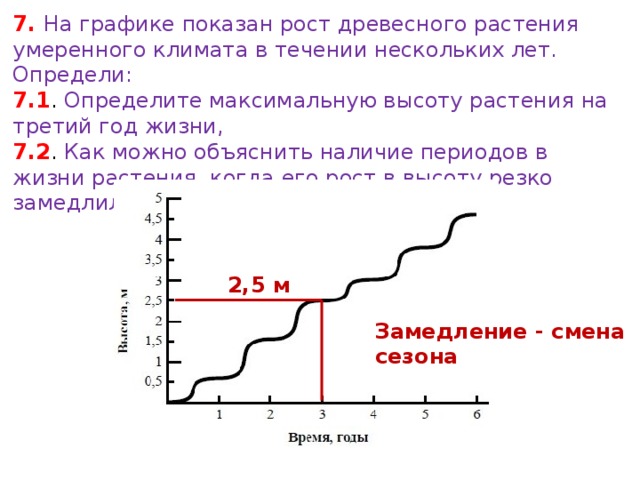 7. На графике показан рост древесного растения умеренного климата в течении нескольких лет. Определи: 7.1 . Определите максимальную высоту растения на третий год жизни, 7.2 . Как можно объяснить наличие периодов в жизни растения, когда его рост в высоту резко замедлился, 2,5 м Замедление - смена сезона 