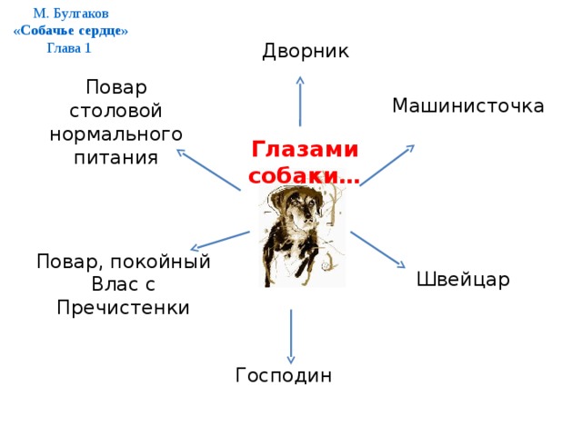М. Булгаков «Собачье сердце» Глава 1 Дворник Повар столовой нормального питания Машинисточка Глазами собаки… Повар, покойный Влас с Пречистенки Швейцар  Господин  