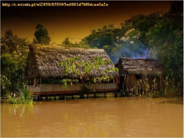 Местные индейцы строят дома на сваях, чтобы вода не попала в дома при прохождении волны «поророко». 