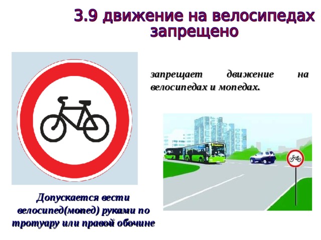 запрещает движение на велосипедах и мопедах. Допускается вести велосипед(мопед) руками по тротуару или правой обочине 