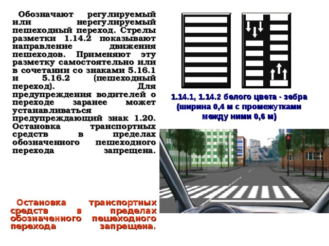 На картинке изображена пешеходная разметка зебра для чего нарисованы стрелочки на зебре