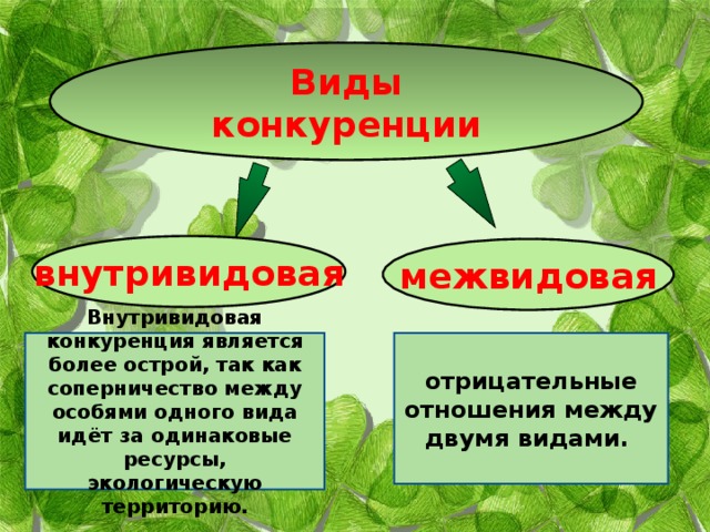 Виды конкуренции внутривидовая межвидовая Внутривидовая конкуренция является более острой, так как соперничество между особями одного вида идёт за одинаковые ресурсы, экологическую территорию. отрицательные отношения между двумя видами. 