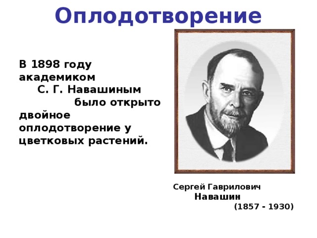 Оплодотворение В 1898 году академиком С. Г. Навашиным было открыто двойное оплодотворение у цветковых растений. Сергей Гаврилович Навашин (1857 - 1930) 