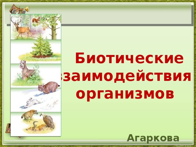  Биотические  взаимодействия  организмов Агаркова Г.И. http://aida.ucoz.ru  