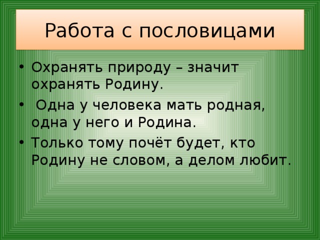 Охранять природу значит охранять родину презентация