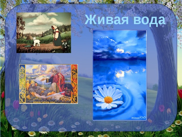 Живая вода 