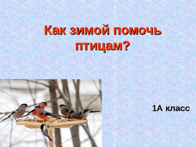 Как зимой помочь птицам? 1А класс 
