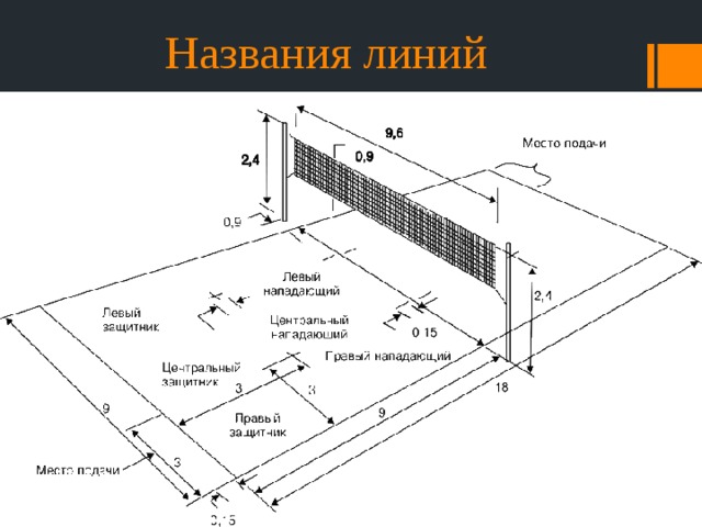 Позиция либеро в волейболе