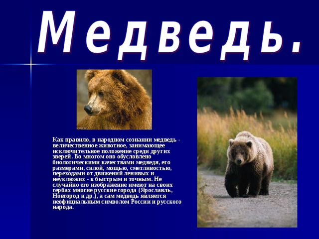  Как правило, в народном сознании медведь - величественное животное, занимающее исключительное положение среди других зверей. Во многом оно обусловлено биологическими качествами медведя, его размерами, силой, мощью, сметливостью, переходами от движений ленивых и неуклюжих - к быстрым и точным. Не случайно его изображение имеют на своих гербах многие русские города (Ярославль, Новгород и др.), а сам медведь является неофициальным символом России и русского народа. 