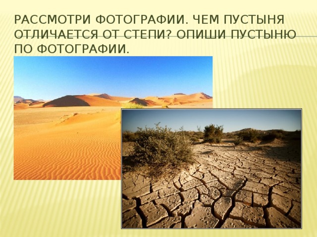 Рассмотри фотографии. Чем пустыня отличается от степи? Опиши пустыню по фотографии. 