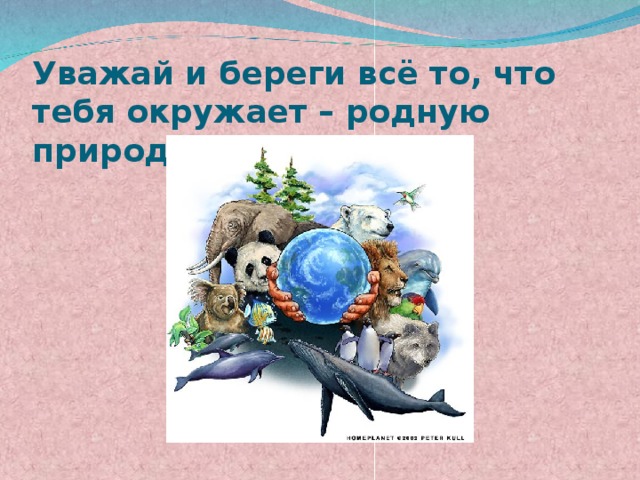 Уважай и береги всё то, что тебя окружает – родную природу!!! 