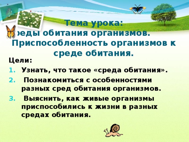 Тема урока:  Среды обитания организмов. Приспособленность организмов к среде обитания. Цели: Узнать, что такое «среда обитания».  Познакомиться с особенностями разных сред обитания организмов.  Выяснить, как живые организмы приспособились к жизни в разных средах обитания.  