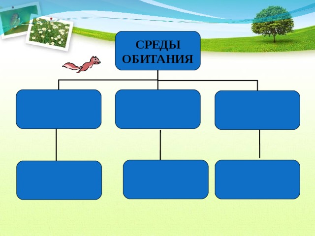 Выберите все правильные ответы среда обитания