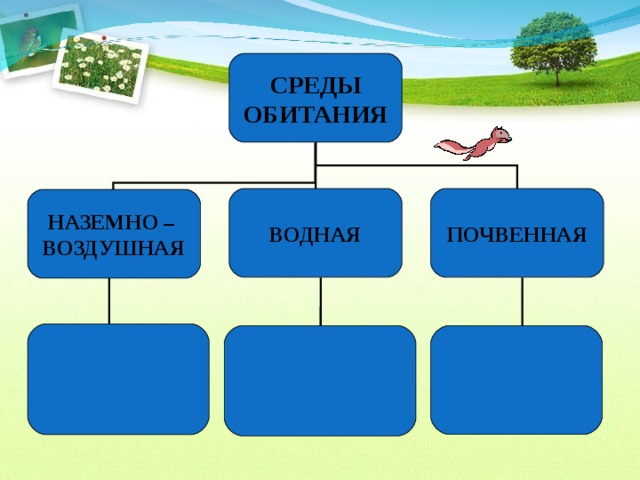 Схема среда обитания организмов