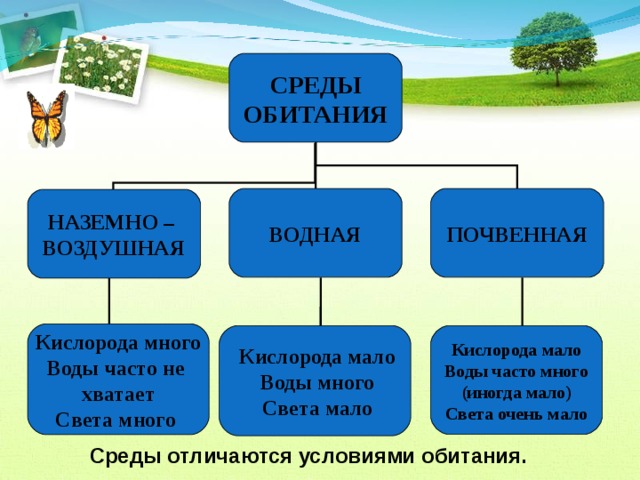 Перечисли среды жизни. Среда обитания. Среда обитания примеры. Среда обитания презентация. Среды обитания организмов 5 класс биология.