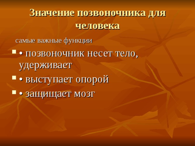 Значение позвоночника для человека  самые важные функции • позвоночник несет тело, удерживает • выступает опорой • защищает мозг 