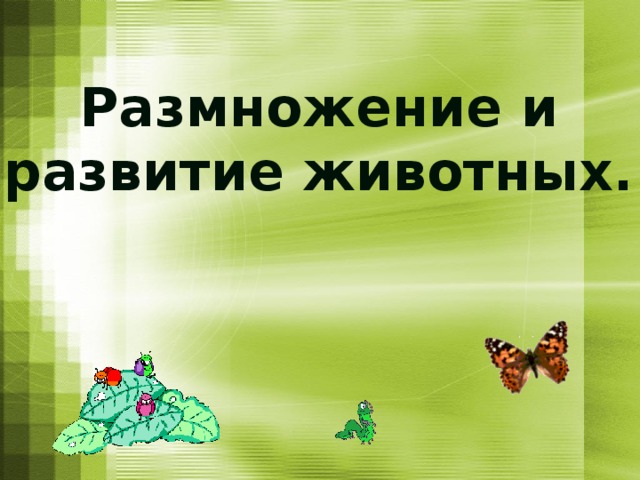 Размножение и развитие животных презентация 3 класс окружающий мир плешаков презентация