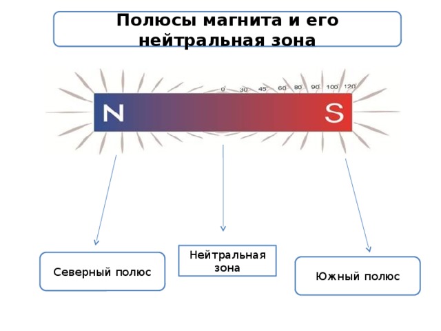 Полюсы магнита и его нейтральная зона Нейтральная зона Северный полюс Южный полюс 