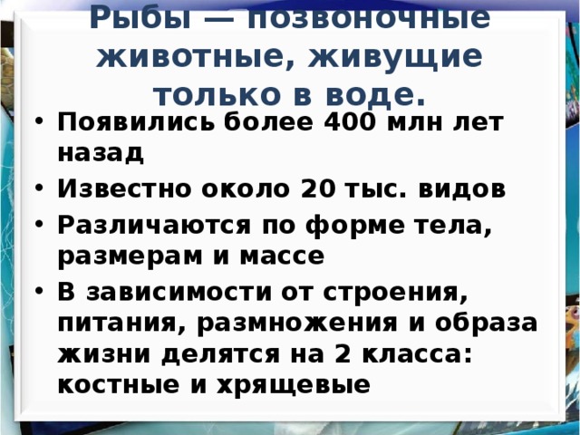Рыбы — позвоночные животные, живущие только в воде. Появились более 400 млн лет назад Известно около 20 тыс. видов Различаются по форме тела, размерам и массе В зависимости от строения, питания, размножения и образа жизни делятся на 2 класса: костные и хрящевые 