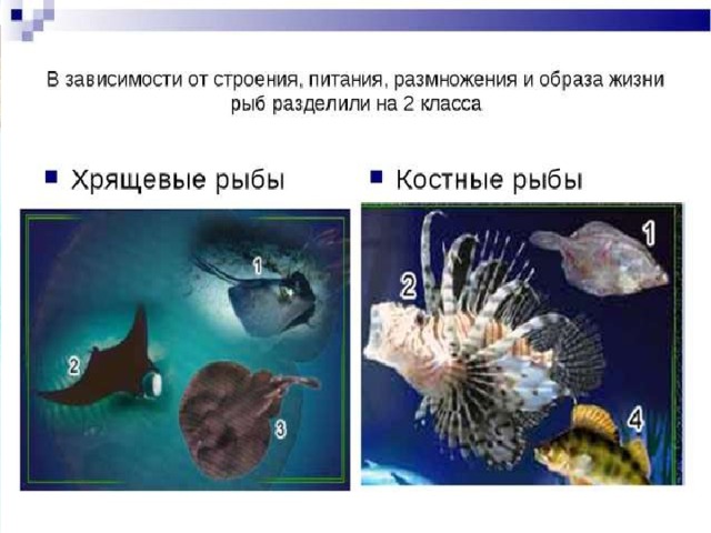 2/11/19 http://aida.ucoz.ru  