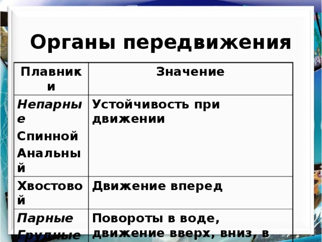 Перемещение органов. Органы передвижения. Органы передвижения рыб таблица. Органы передвижения — плавники. Класс рыбы органы передвижения.