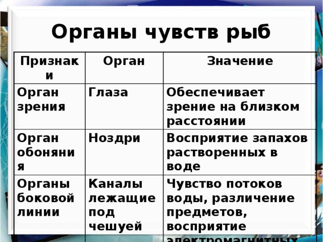 Органы чувств рыб Признаки Орган Орган зрения Значение Глаза Орган обоняния Ноздри Обеспечивает зрение на близком расстоянии Органы боковой линии Восприятие запахов растворенных в воде Каналы лежащие под чешуей Чувство потоков воды, различение предметов, восприятие электромагнитных полей 