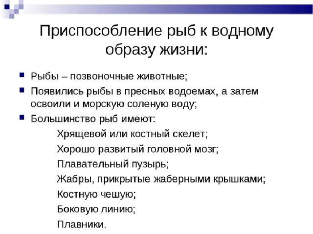 Приспособления рыб к условиям обитания значение рыб презентация