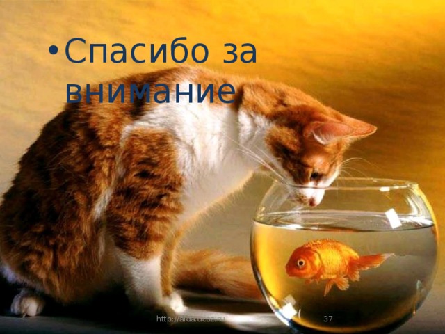 Спасибо за внимание 2/11/19 http://aida.ucoz.ru  