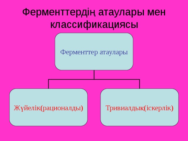 Ферменттердің ролі және қолданылуы презентация