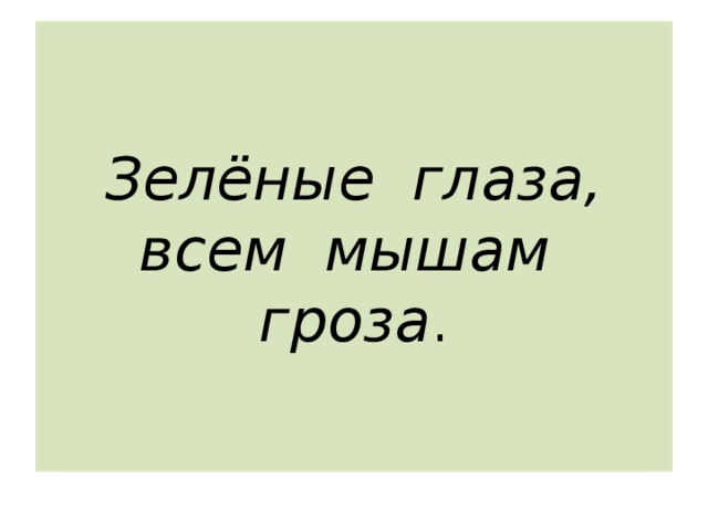 Зелёные глаза,  всем мышам гроза . 