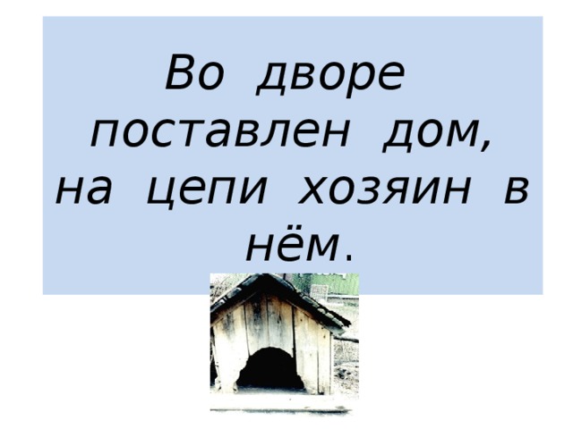 Во дворе поставлен дом,  на цепи хозяин в нём . 