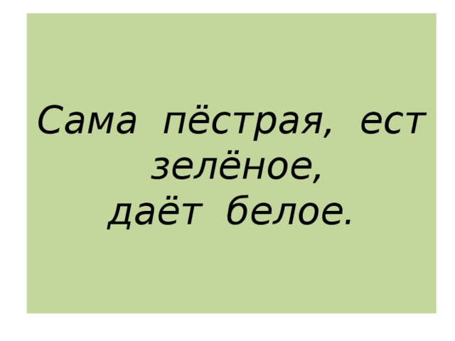 Сама пёстрая, ест зелёное,  даёт белое. 