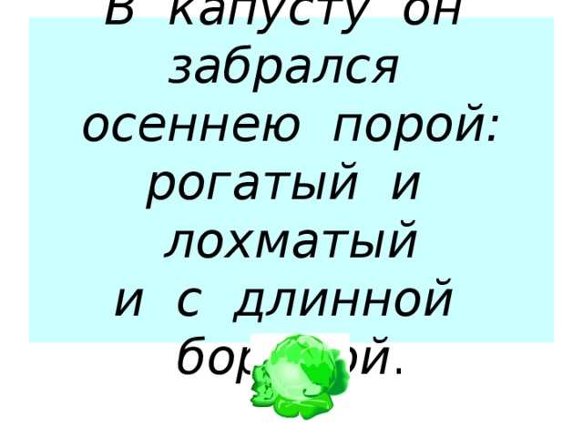 В капусту он забрался  осеннею порой:  рогатый и лохматый  и с длинной бородой . 