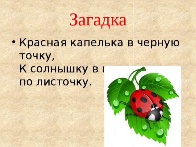 Красные загадки