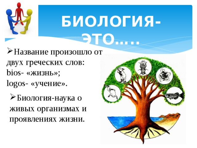 Logos учение. Жизнь это в биологии. Биология это простыми словами. Биология 3 класс. Биология это круто.