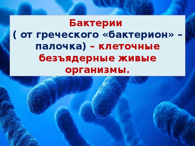 Бактерии  ( от греческого «бактерион» – палочка) – клеточные безъядерные живые организмы. 