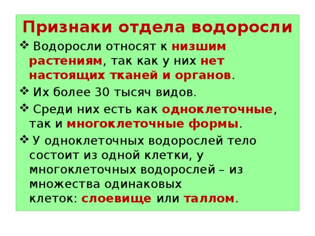 Признаки отдела водоросли  Водоросли относят к низшим растениям , так как у них нет настоящих тканей и органов .  Их более 30 тысяч видов.  Среди них есть как одноклеточные , так и многоклеточные формы .  У одноклеточных водорослей тело состоит из одной клетки, у многоклеточных водорослей – из множества одинаковых клеток:  слоевище или таллом . 