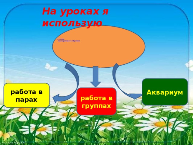 На уроках я использую     м етоды  кооперативного обучения     Аквариум работа в парах работа в группах 