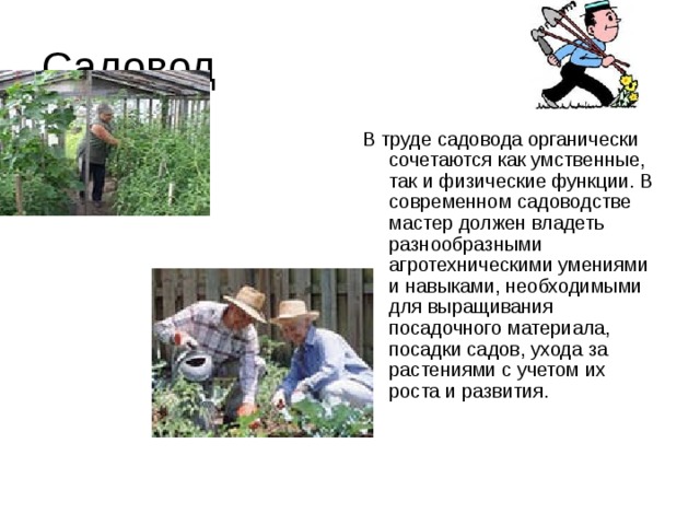 Садовод В труде садовода органически сочетаются как умственные, так и физические функции. В современном садоводстве мастер должен владеть разнообразными агротехническими умениями и навыками, необходимыми для выращивания посадочного материала, посадки садов, ухода за растениями с учетом их роста и развития. 