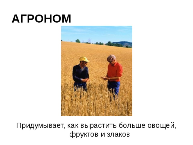 АГРОНОМ Придумывает, как вырастить больше овощей, фруктов и злаков 