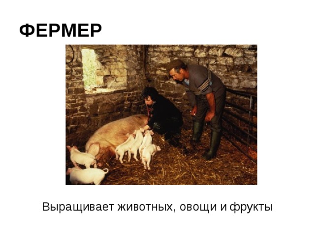 ФЕРМЕР Выращивает животных, овощи и фрукты 