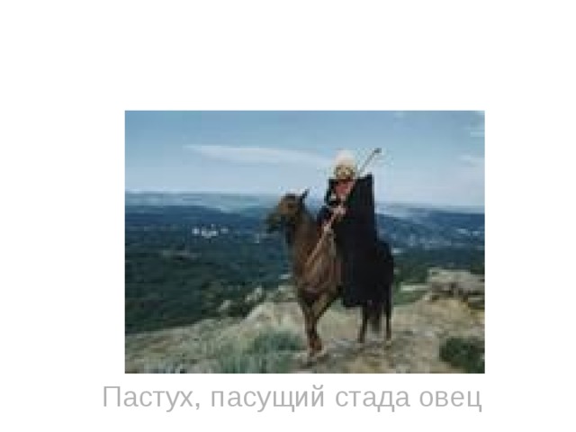 Чабан Пастух, пасущий стада овец 