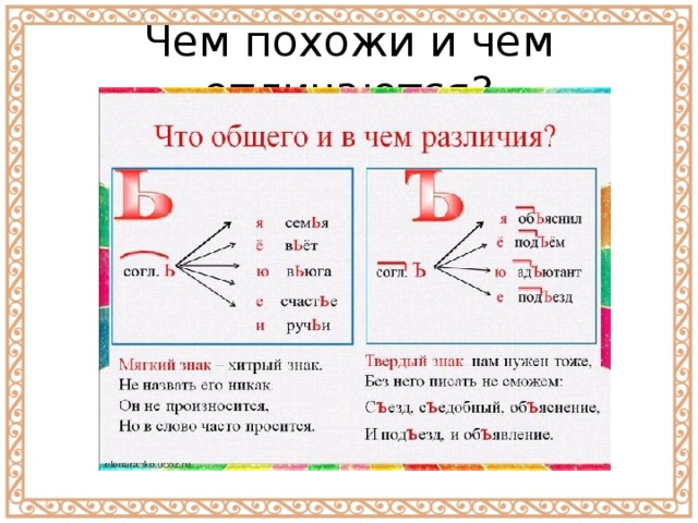 Чем похожи и чем отличаются? 