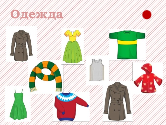 Одежда 