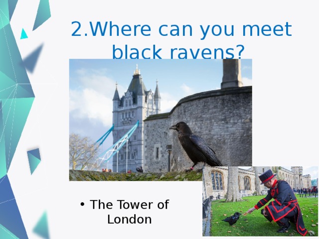 2.Where can you meet black ravens? The Tower of London 