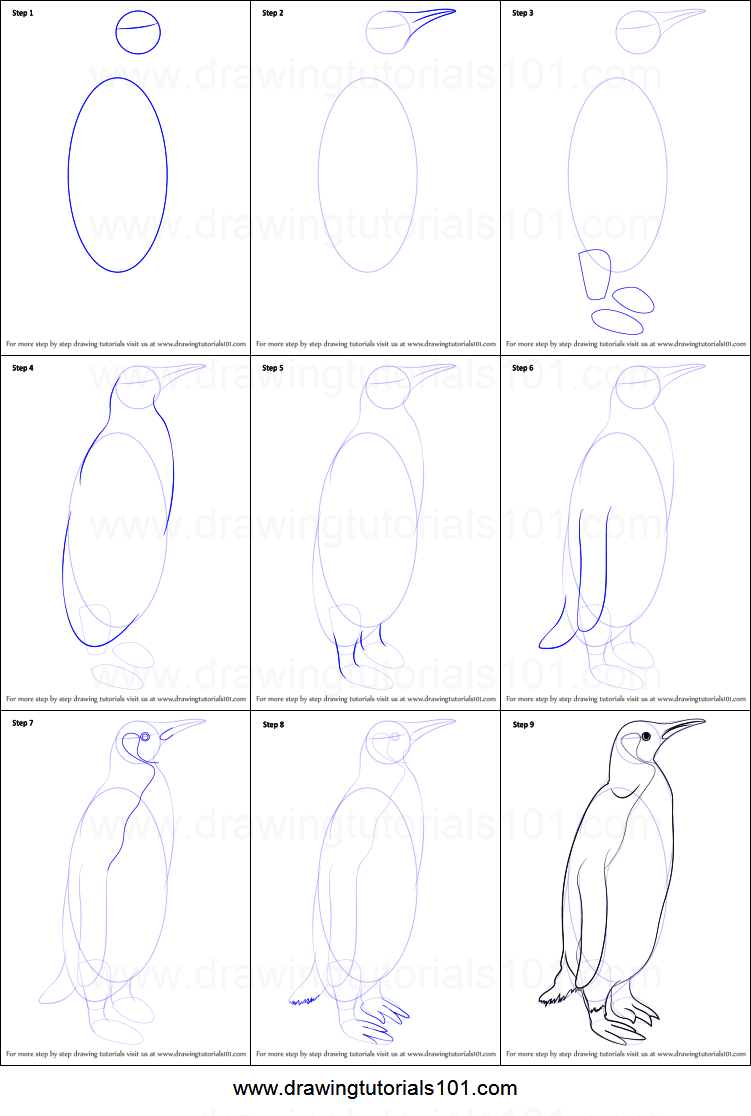 Нарисуем пингвина пошагово.