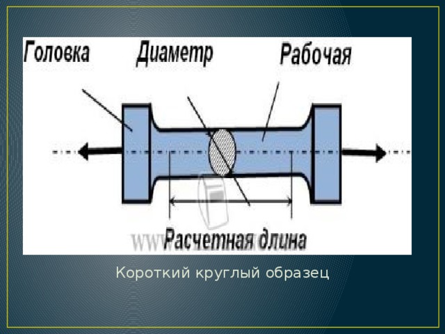 Короткий круглый образец 