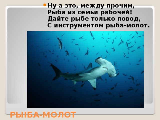 Ну а это, между прочим,  Рыба из семьи рабочей!  Дайте рыбе только повод,  С инструментом рыба-молот. РЫ I БА-МОЛОТ 