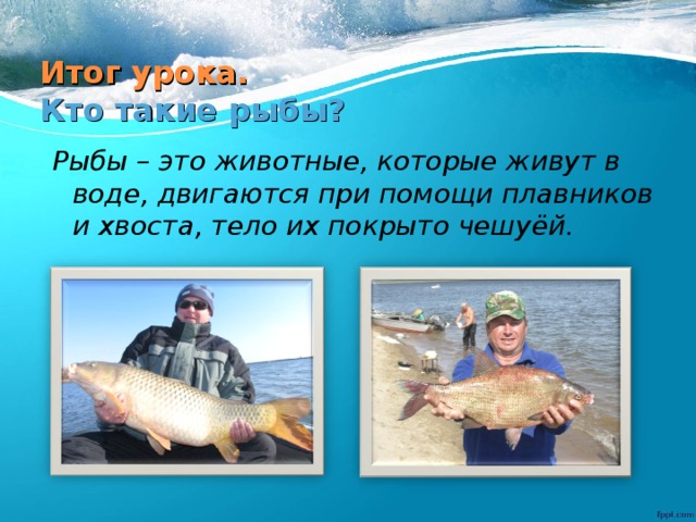 Итог урока.  Кто такие рыбы? Рыбы – это животные, которые живут в воде, двигаются при помощи плавников и хвоста, тело их покрыто чешуёй. 